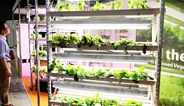 植物工場の写真イメージ