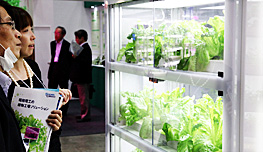 植物工場の写真イメージ